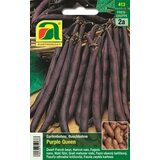 AUSTROSAAT Navadni fižol "Purple Queen" Cene