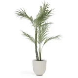 Umjetna palma (visina 70 cm) –