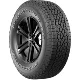 BF Goodrich trail terrain t/a ( 255/65 R17 110T orwl ) Cijene