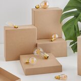 Tala LED/filament zatemnitvena žarnica s toplo svetlobo z žarnico E14, 3 W Pluto – | Shoptok.si