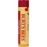 Burt's Bees regenerirajući balzam za usne s uljem nara | shoptok.hr