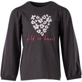 Lucky Kiddo Fashion majica DR LK_F-KGT LS 4_25 D siva 110/116 Cene