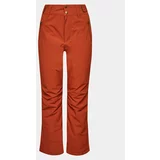 Protest Smučarske hlače Cinnamon P4693100 Rjava Regular Fit