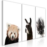  Slika - Friendly Animals (Collection) 120x60 | shoptok.hr