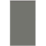 vidaXL rolo zatemnjena siv 120x210cm tkanina širina 116,6cm poliester Cene