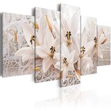  Slika - Treasure of Mildness 200x100 | shoptok.hr