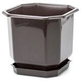  Saksija 28x28cm Cene