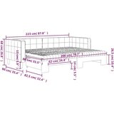 vidaXL Izvlečna dnevna postelja z vzmetnico tem. siva 80x200 cm žamet | Shoptok.si