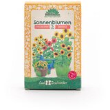  Saatgeschwister - set semen sončnic - 1 pkt. | Shoptok.si