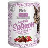 Brit Care mačji priboljški superživila in losos - 100 g | shoptok.hr