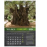  KALENDAR "MASLINE 2026" 13 LISTOVA, SPIRALA | Shoptok.si