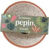 Bobèche pour fleurs - pripomoček za aranžiranje cvetja za sobne rastline - bež