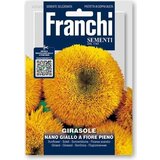 FRANCHI SEMENTI Sončnica "Nano Giallo a fiore pieno" | Shoptok.si