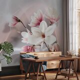  Foto tapeta - White magnolias 100x70 | shoptok.hr
