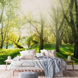  Foto tapeta - Sunny May Day 450x315 Standard | shoptok.hr