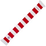 FC BAYERN MÜNCHEN Classic šal Cijene