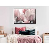 Poster - Pastel Tulips II 30x20 | shoptok.hr