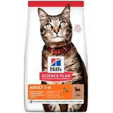 Hills Science Plan Hrana za mačke Jagnjetina 300g Cene
