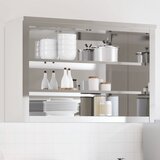 Maison Chic Kuhinjska stenska omarica - Kuhinjska omarica s policami nerjaveče jeklo iu211, (22063837) | Shoptok.si
