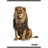 STREET Zvezek A4 Safari, črte z robom, 54 listov, sortirano, 1 kos | Shoptok.si