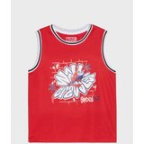 Sinsay Majica kratkih rukava Spider-Man | shoptok.hr