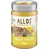 Bio čisto sadje 75 % - mango - 200 g