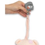 Baby Mix plišasti glasbeni medvedek roza | Shoptok.si