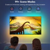 GOVEE TV 55-65" SMART LED pozadinsko osvetljenje RGBIC Wi-Fi | Eponuda.com