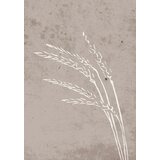 Venture Home poster Seeds 21 × 30 cm, bež | shoptok.hr