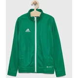 Adidas Otroški pulover ENT22 TK zelena barva