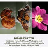 Origins Dr. Andrew Weil for Origins™ Mega-Mushroom Overnight Recovery Cream umirujuća i hidratantna maska za noć 50 ml | shoptok.hr