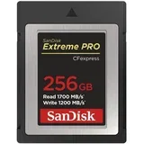 memorijska kartica extreme pro cfexpress card type b, 256GB, 1700MB/s read, 1200MB/s write