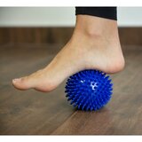 Rehabiq Massage Ball masažna loptica boja Blue, 10 cm 1 kom | shoptok.hr