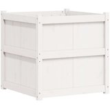 vidaXL Vrtno cvetlično korito belo 70x70x70 cm trdna borovina | Shoptok.si