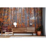 WALLXPERT Tapeta za zid MDK-00127, 100x100 cm, Šarena | Eponuda.ba
