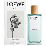Loewe Aire Anthesis Eau de Parfum 100 ml | shoptok.hr