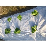 Garden Pleasure Malč tkanina - | shoptok.hr