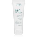 Ziaja Men balzam za po britju s hladilnim učinkom Vetiver 80 ml | Shoptok.si