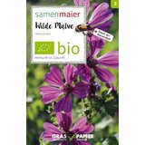 Samen Maier Divji cvet gozdni slezenovec Cene