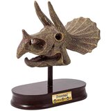 Buki France Buki® Set za iskopavanje lubanje Dino Museum Triceratops | shoptok.hr