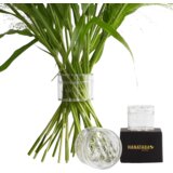  2-delni set "Bouquet Twister" - Crystal Clear | Shoptok.si