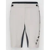 Free Ride Lined Shorts cement