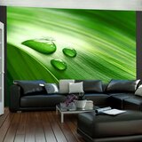  Tapeta - Leaf and three drops of water 250x193 Cijene