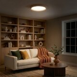  Brilagi - LED prigušiva svetiljka MATTEO LED/60W/230V 3000-6500K preč. 51,5 cm taupe + daljinski upravljač | Eponuda.com