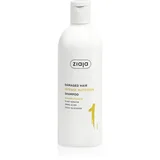 Ziaja Plant Essentials Banana Flower hranilni šampon za poškodovane lase 400 ml