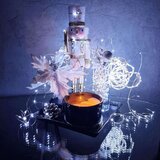  LED žičane lampice hladno bijela | shoptok.hr
