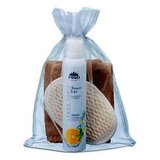 Pino Darilni set za kopel, Lemon - Tonik Cene