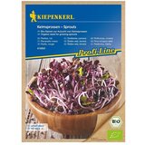 KIEPENKERL Profi-Line Sjeme za sjetvu crvena rotkvica (Raphanus stivus) Cijene