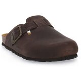 Grunland Japonke Mogamo 40 Sara Kostanjeva Cene