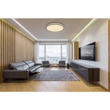 Globo STROPNA LED-SVETILKA DORO 60/8,5 cm | Shoptok.si